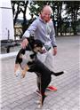 Als erstes gratuliet Hofhund Cora dem heimgekehrten Olympiasieger Michael Jung. ...