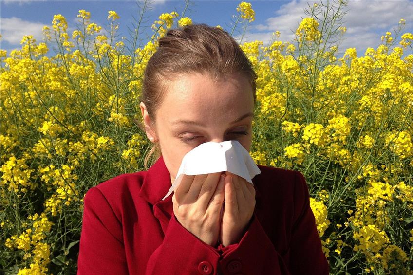 Was sind die häufigsten Allergieauslöser?