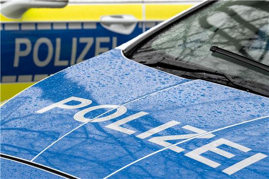 Der Schriftzug „Polizei“ auf der Kühlerhaube eines Autos. Foto: Soeren Stache/dpa
