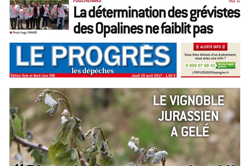 Gestrige Titelseite der Tageszeitung für Salins-les-Bains: Die Wahl am Sonntag wird übertrumpft vom Frost-Desaster in den Weinbergen.