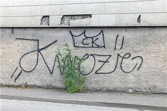 Graffiti häuften sich in Sulz in der jüngeren Zeit. Archivbild: C. Priotto