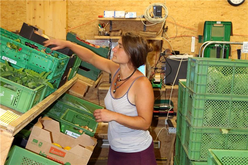 Iris Grimm ist Chefin der Ökokisten-Sparte des Hofbauernhofs. Insgesamt bieten die Schömberger acht vorgefertigte Kisten-Sorten an.