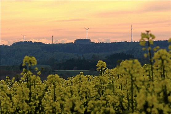 Wo in oder nahe Vöhringen Windenergieanlagengebaut werden, ist offen. Archivbild: Cristina Priotto
