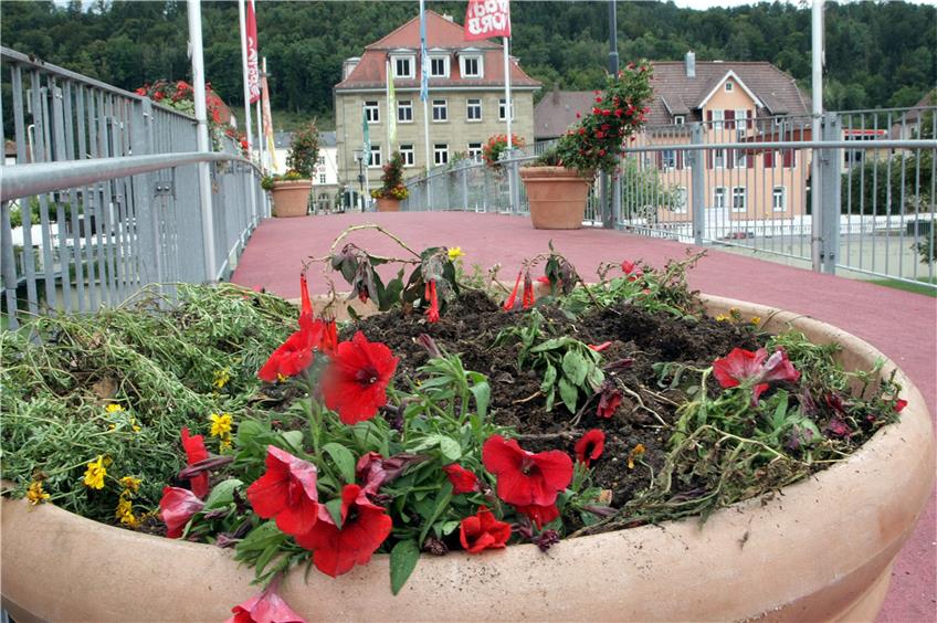 Zerstörte Blumenkübel – hier im August 2015 – gibt es immer wieder in Horb. Archivbild: Kuball
