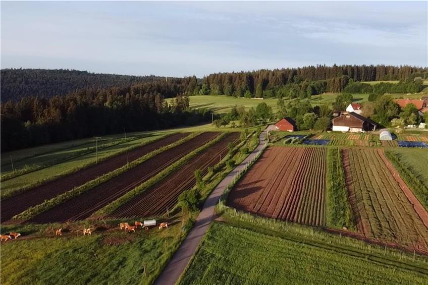 Agroforstsysteme auf dem Hof Sonnenwald in Seewald. Bild: Olef Koch