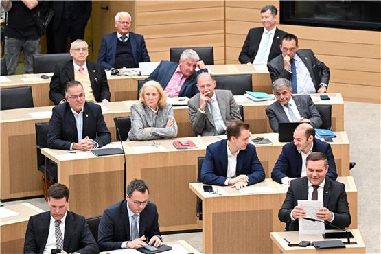 Anton Baron, (vorn rechts, AfD), Fraktionsvorsitzender der AfD im Landtag von Baden-Württemberg, sitzt im Landtag. Foto: Bernd Weißbrod/dpa