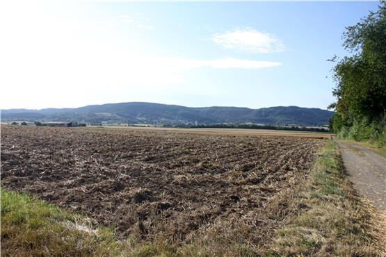 Auf bislang landwirtschaftlich genutzten Flächen der Mühlbachebene soll das Regionale Gewerbegebiet entstehen. Archivbild: Cristina Priotto