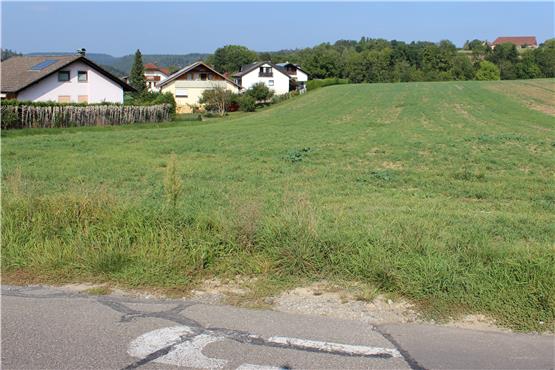 Auf der Fläche, wo das Neubaugebiet „Mühlheimer Feld“ in Fischingen entstehen soll, wurden Feldlerchen festgestellt.Bild: Herold Schwind