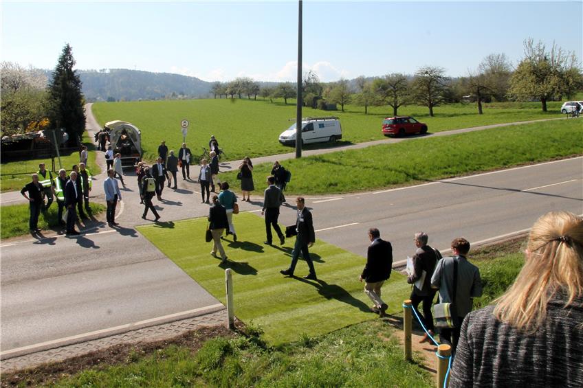 Auf einem symbolischen grünen Teppich überquerte die Landesgartenschau-Kommission im April 2018 die Südtangente, auf dem Weg von der Innenstadt hinaus zum Schadenweiler. Archivbild: Ulrich Eisele