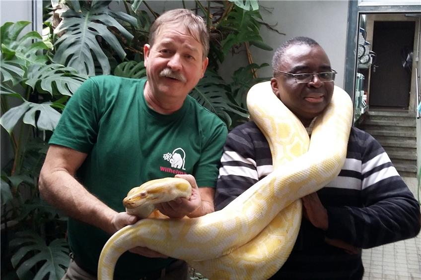 Bei einer 20 Kilogramm schweren Python auf den Schultern musste Pfarrer Dr. Prosper Nguma Ambena (rechts) schon seine Nackenmuskeln anspannen, um in der Wilhelma in Stuttgart keine wackligen Knie zu bekommen. Bild: Wally