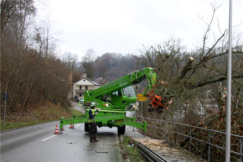 Hunderte Eschen im Neckar- und Glatttal entfernt / Spezialfahrzeug tagelang im Einsatz