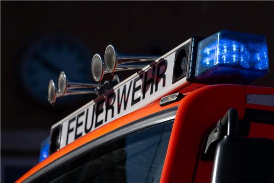 Blaulicht leuchtet auf einem Feuerwehrwagen. Foto: Marijan Murat/dpa