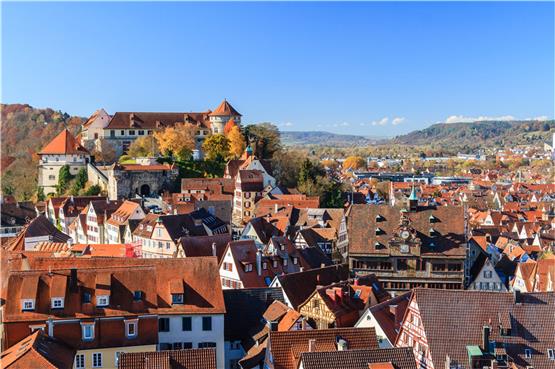 Blick über die Stadt Tübingen – am Wochenende kann man hier kostenfrei mit dem Bus fahren. Bild: Jens Goepfert – 336985538 / Shutterstock.com