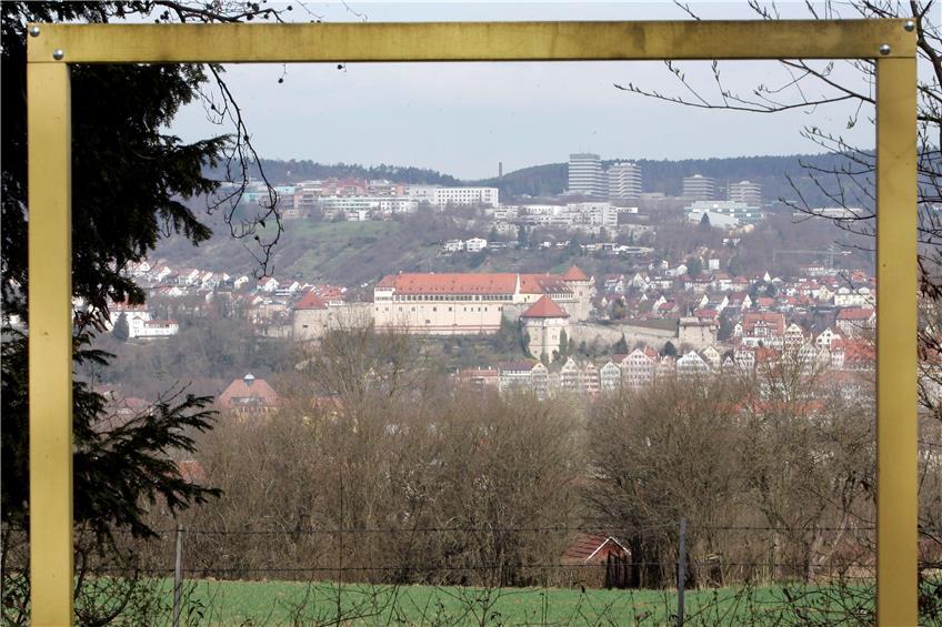 Blick vom Galgenberg auf Tübingen. Bild: Metz