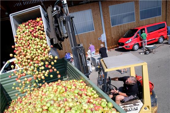 Da prasseln die Äpfel in den Container: Wie hier in Stockach nehmen die Obst- und Gartenbauvereine Ware an. Bild: Uli Rippmann