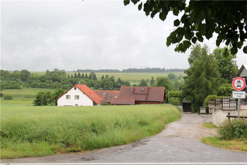 Das Foto zeigt den Eutinger Ortsrand Richtung Ergenzingen an der B14: Links auf dem Feld soll ein Verbrauchermarkt mit Vollsortiment angesiedelt werden.Archivbild: Bernhard