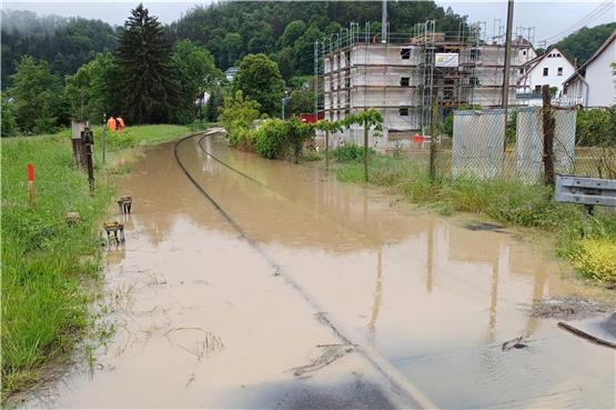 Das Hochwasser in Mühringen am Sonntag. Bild: Manuel Fuchs