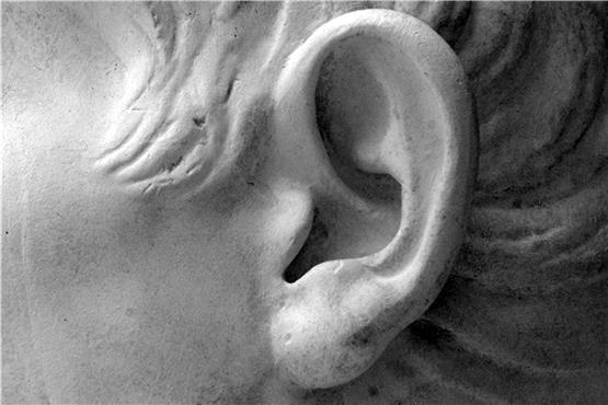 Das Ohr des Augustus von Prima Porta in der Abgusssammlung des Tübinger Schlossmuseums. Archivbild: Ulrich Metz