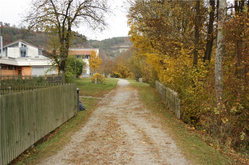 Das Originalfoto: So freundlich sieht der Uferweg Richtung DHBW an einem durchschnittlich diesigen Herbstnachmittag aus.