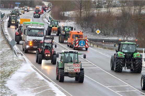 Den ganzen Vormittag über blockierten zirka 150 Traktoren und gut 30 Lastwagen aus anderen Branchen die L409 ab Sulz und fuhren Schleifen von Kastell bis zur Einfahrt zum Schützenhaus Vöhringen auf der Strecke nach Balingen, begleitet von lautem Hupen. Bilder: Cristina Priotto