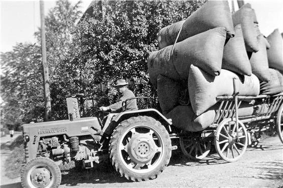 Der Landwirt Max Saile fährt mit vollbeladenem Hopfenwagen in den 50er Jahren. Bild: Privat/Stadtarchiv