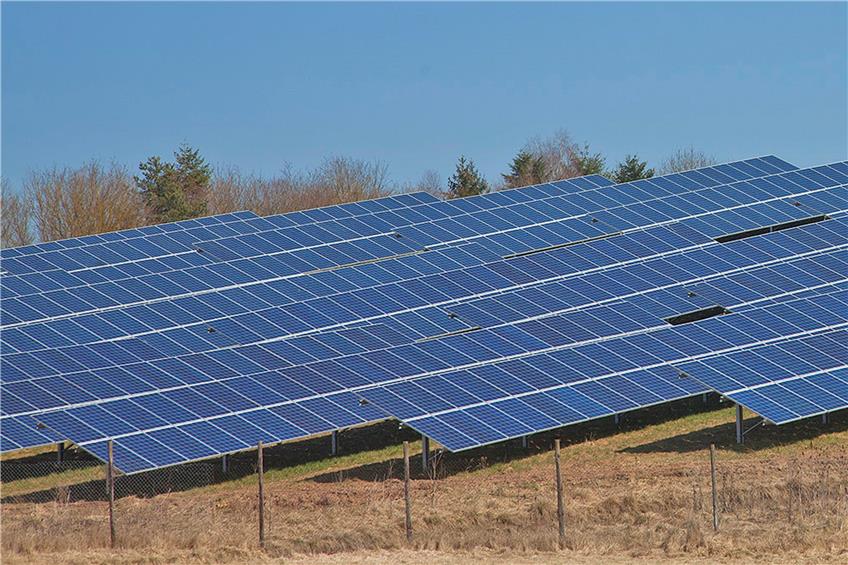 Der „Solarpark Empfingen 3“ besteht aus 3400 Modulen mit einer Leistung von 250 Watt pro Modul. Die Glattener Firma Schmalz ist hier für 2300 Module zuständig, konnte von dem überaus heißen Sommer 2018 aber nicht großartig profitieren. Privatbild