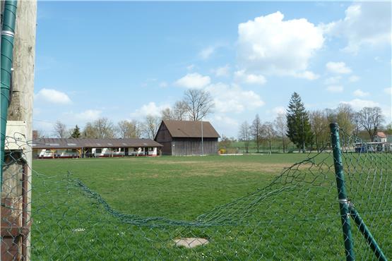 Der Sportplatz in Eutingen wird vor allem während der Hauptspielzeit stark beansprucht, weshalb sich der SVE einen Kunstrasen baute.Bild: Alexandra Feinler