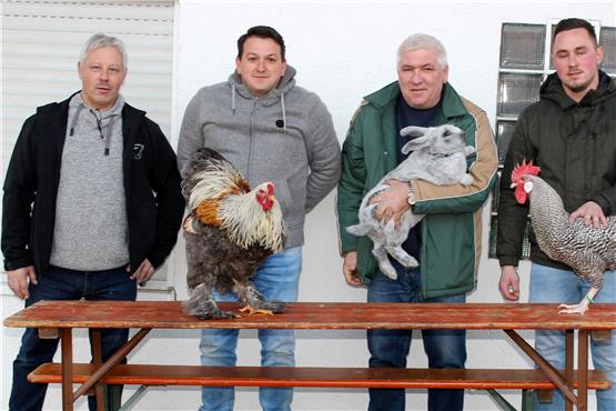 Der Vorsitzende der Kleintierzüchter Arthur Hellstern (v. links) mit den Preisträgern Martin Eberwein, Heinz Maier und Denni Helmich. Bild: H. Schwind