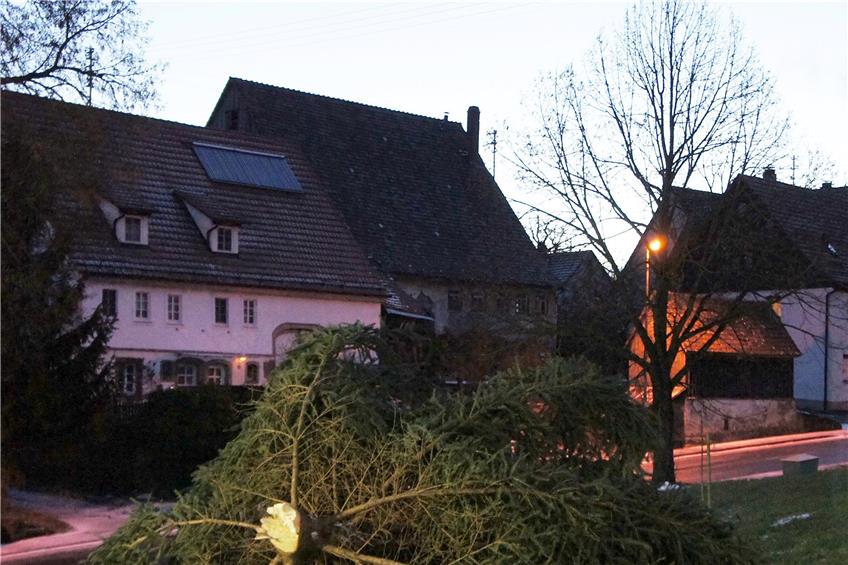 Der Weihnachtsbaum beim Rathaus in Holzhausen ist durch den Sturm gefällt worden.Privatbild