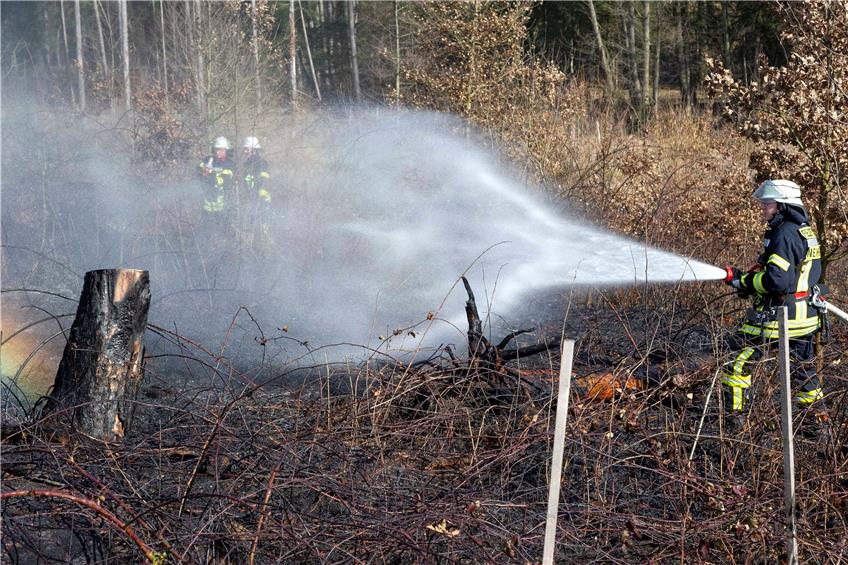 Die Feuerwehr hofft, in diesen Tagen nicht in den Wald ausrücken zu müssen. Archivbild: Klaus Franke