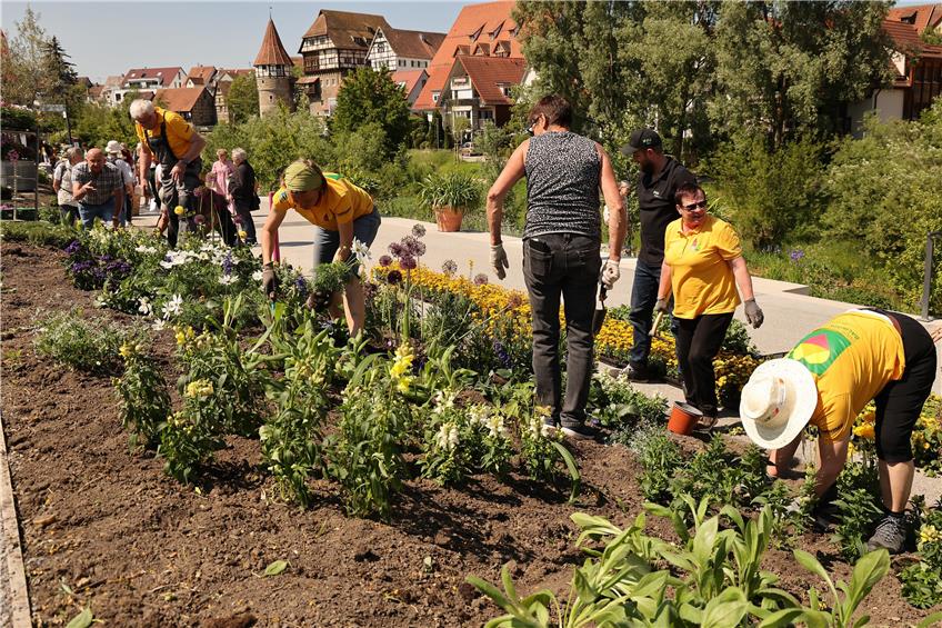 Die Gartenschau-Mitarbeiter tauschten die Frühlings- gegen die Sommerflora aus. Bild: Tine Bossenmaier