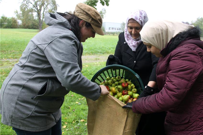 Die Hälfte der Helfer waren Syrer. Hier unterstützen zwei Frauen Sabrina Glöckler (links) beim Befüllen eines Sacks mit auf Kastell aufgelesenen Äpfeln.