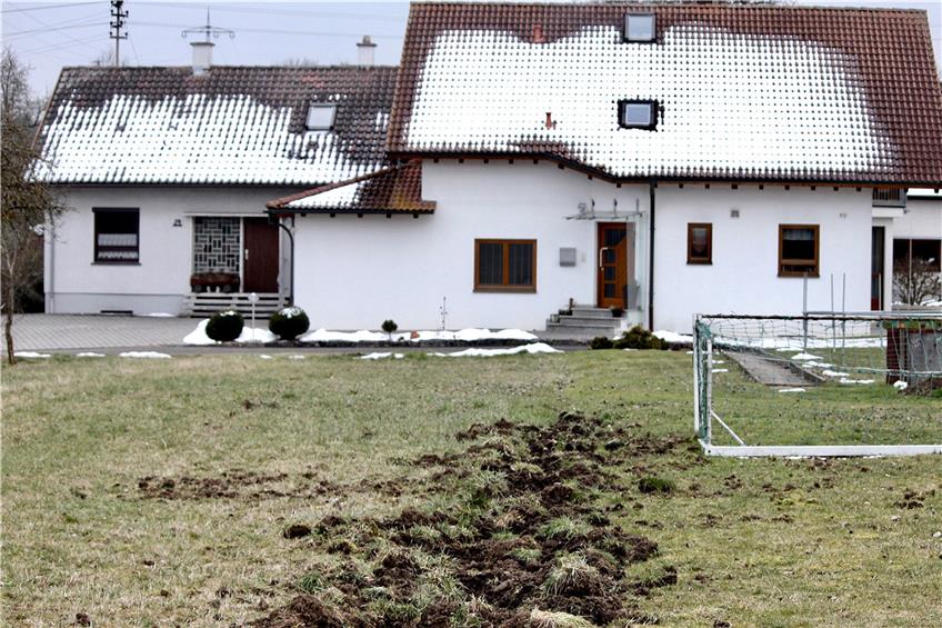Die Schäden, die Wildschweine auf Futtersuche hinterlassen, nehmen in Weitingens Gärten zu. Bild: Nesch