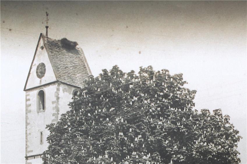 Diese historische Aufnahme von vor etwa 100 Jahren zeigt das bislang letzte Storchennest auf dem Mühlheimer Kirchturm. Archivbilder