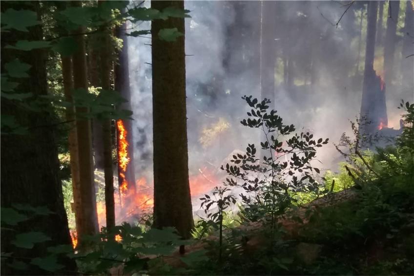 Dieses Bild eines Waldbrands in Bad Teinach-Zavelstein fügte die Behörde ihrer Mitteilung hinzu. Bild: Landratsamt Calw/Dirk Patzelt
