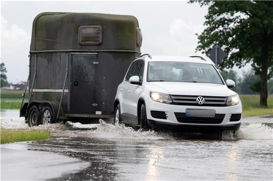 Ein Fahrzeug bringt mit einem Anhänger Pferde vor dem Hochwasser in Sicherheit. Foto: Armin Weigel/dpa