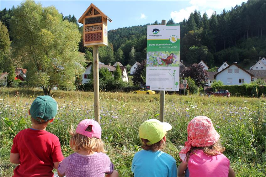 Ein guter Teil der Glücksspirale-Mittel fließt in die Naturpark-Kindergärten und ins Projekt „Blühender Naturpark“. Beide Projekte können miteinander kombiniert werden. Bild: Naturpark Schwarzwald Mitte/Nord