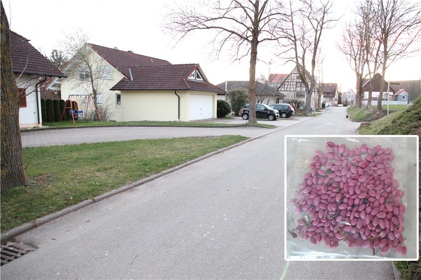 Eine Bewohnerin des Tübinger Wegs in Eutingen fand am Wochenende Gift auf ihrer Terrasse und warnt nun die Nachbarschaft. Bilder: Alexandra Feinler