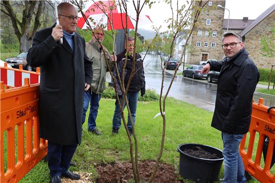 Für die Baumpflanzung für Volker Kauder (links) hatte Tobias Bronner als Vorsitzender des Sulzer CDU-Stadtverbands eine Koelreuteriagewählt, benannt nach einem Naturforscher aus Sulz. Privatbild