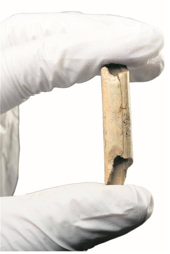 Gänseknochenflöte aus der Vogelherdhöhle, etwa 40.000 Jahre alt. Bild: MUT