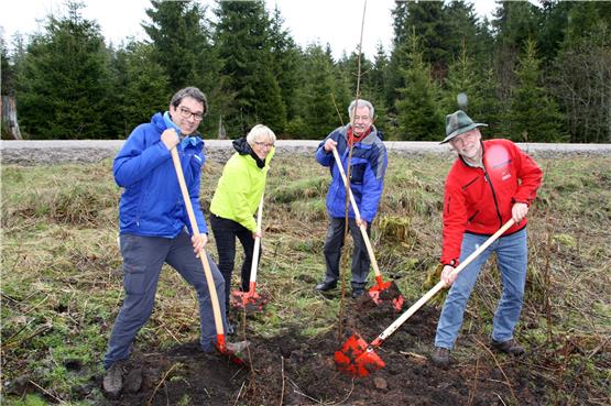 Gemeinsame Aktion: André Baumann (links), Brigitte Dahlbender und Wolfgang Schlund pflanzten einen Baum für den langjährigen LNV-Vorsitzenden Reiner Ehret (Mitte). Der packte dabei selbst mit an. Bild: rt