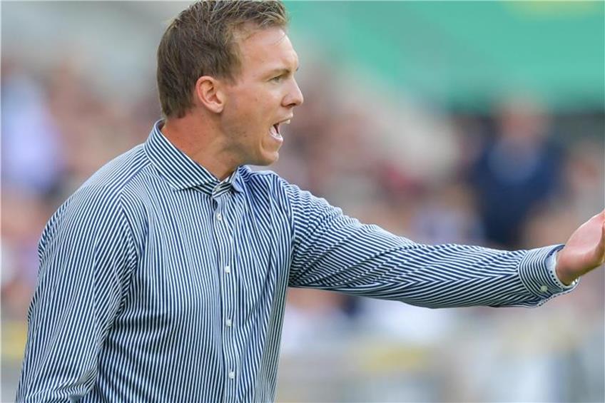 Hoffenheims Trainer Julian Nagelsmann gestikuliert. Foto: Uwe Anspach dpa/lsw