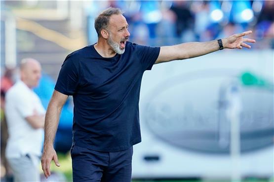Hoffenheims Trainer Pellegrino Matarazzo gestikuliert. Foto: Uwe Anspach/dpa