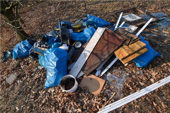 Illegal entsorgter Müll ist in einem Landschaftsschutzgebiet zu sehen. Foto: Patrick Pleul/dpa-Zentralbild/dpa/Archivbild