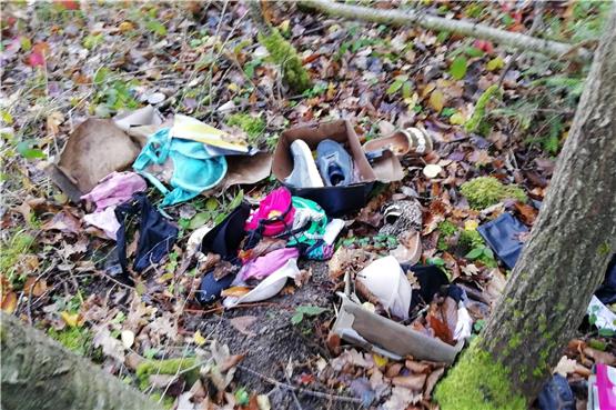Im Wald zwischen Göttelfingen und Vollmaringen werden immer wieder Altkleider oder Müllsäcke illegal entsorgt. Bild: Alexandra Feinler