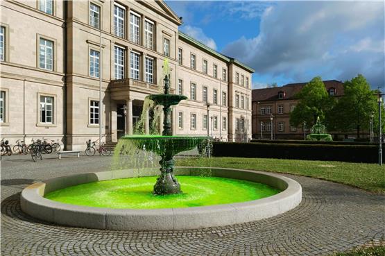 In Tübingen sprudelt's grün – und zwar nicht zum ersten Mal. Bild: Moritz Siebert