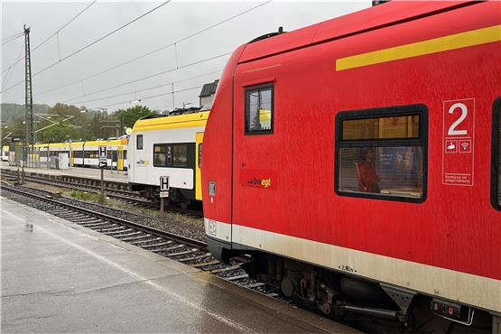 In Tübingen stehen Züge wegen einer Störung im Stellwerk. Bild: Moritz Hagemann