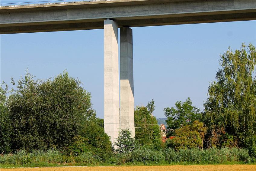 Karl Wezels Feuchtbiotop liegt unter der Mühlbachbrücke der A81 bei Mühlheim. Dort soll ein zweiter Storchenhorst aufgestellt werden.