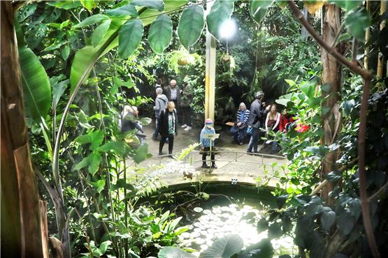 Klanginstallation mit elektronischen Vogellauten im Tropicarium des Botanischen Gartens.Bild: Anne Faden