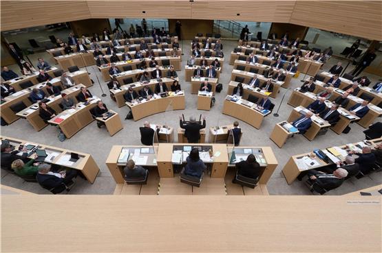 Landtagsabgeordnete nehmen an einer Plenarsitzung teil. Foto: Marijan Murat/dpa/Archivbild
